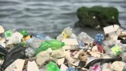 塑料回收和燃料电池技术最新进展 塑料回收和燃料电池技术最新进展