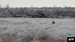 Фазан летить над крижаним необробленим полем у селі Андріївка Донецької області під час російського вторгнення в Україну. 12 грудня 2023 року. (Фото Анатолія СТЕПАНОВА / AFP)