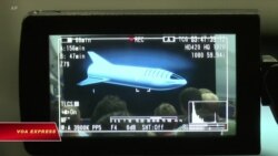 Hành khách đầu tiên du lịch cung trăng Hành khách đầu tiên du lịch cung trăng