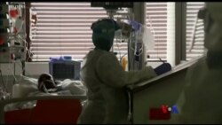 ကပ်ရောဂါ တားဆီးရေး Johns Hopkins လေ့လာချက် ကပ်ရောဂါ တားဆီးရေး Johns Hopkins လေ့လာချက်