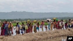 ရခိုင်မြောက်ပိုင်းကနေ ဘင်္ဂလားဒေ့ရှ်နိုင်ငံဘက် တိမ်းရှောင်လာတဲ့ ရိုဟင်ဂျာဒုက္ခသည်များ။