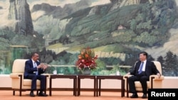 中国国家主席习近平在北京人大会堂会见到访的世卫组织总干事谭德塞。(2020年1月28日)
