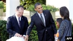 Барак Обама здійснив традицію помилування індиків у Білому домі