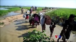 ရခိုင်အရေးနဲ့ ဒုက္ခသည်ပြန်လည်လက်ခံရေးသတ်မှတ်ချက် ရခိုင်အရေးနဲ့ ဒုက္ခသည်ပြန်လည်လက်ခံရေးသတ်မှတ်ချက်