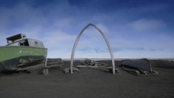 走进美国:美国阿拉斯加的捕鲸文化 走进美国:美国阿拉斯加的捕鲸文化