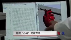 补救“心碎”的新方法 补救“心碎”的新方法