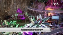 美国国家植物园展示圣诞精神 美国国家植物园展示圣诞精神