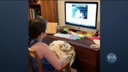 Карантин через коронавірус та дистанційне навчання – американський досвід. Відео Карантин через коронавірус та дистанційне навчання – американський досвід. Відео