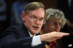 美国前副国务卿佐利克