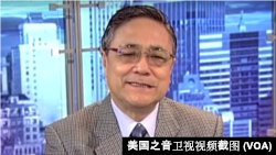 高文谦参加美国之音卫视讨论节目(卫视视频截图)
