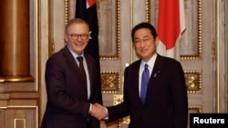 日本首相岸田文雄2022年5月与澳大利亚总理阿尔巴尼斯会面。(路透社)