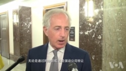 美参院领袖:制止中国窃取知识产权为目标 美参院领袖:制止中国窃取知识产权为目标