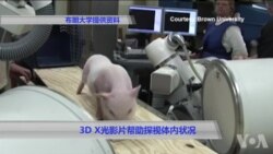 3D X光影片帮助探视体内状况 3D X光影片帮助探视体内状况