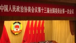 中国政协开会 修宪及任期制话题敏感 中国政协开会 修宪及任期制话题敏感