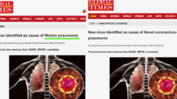官媒《环球时报》英文版删改标题中的“武汉肺炎” (网络截图)