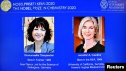 ပြင်သစ်နိုင်ငံသူ Emmanuelle Chapenter နဲ့ အမေရိကန် နိုင်ငံသူ Jenniver Doudna။ (ဓာတ်ပုံ - TT News Agency/Henrik Montgomery/Pool via REUTERS - အောက်တိုဘာ ၇၊ ၂၀၂၀)