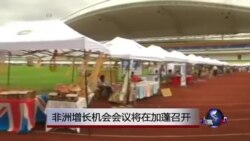 非洲增长机会会议将在加蓬召开 非洲增长机会会议将在加蓬召开