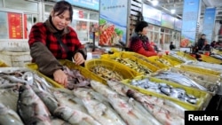 资料照:中国江苏省连云港的一个海鲜市场。(2015年11月10日)