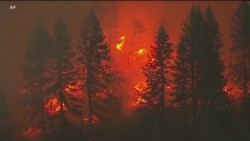 科学家称气候暖化导致美西野火恶化 科学家称气候暖化导致美西野火恶化