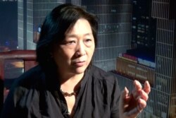 资料照:中国独立媒体人高瑜