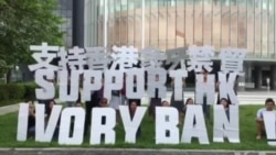 香港动保团体促立法会支持象牙禁贸 香港动保团体促立法会支持象牙禁贸