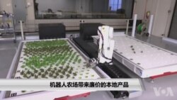 机器人农场带来廉价的本地产品 机器人农场带来廉价的本地产品