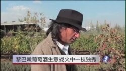 黎巴嫩葡萄酒生意战火中一枝独秀 黎巴嫩葡萄酒生意战火中一枝独秀