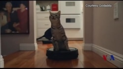 超级碗广告超级贵 值不值? 超级碗广告超级贵 值不值?