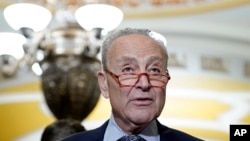 美国国会参议院多数党领袖查克·舒默(Chuck Schumer) (美联社2023年7月11日)