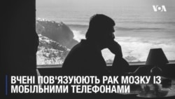 Дослідження: Високий рівень випромінювання мобільних телефонів пов'язали із раком у пацюків самців. Відео Дослідження: Високий рівень випромінювання мобільних телефонів пов'язали із раком у пацюків самців. Відео