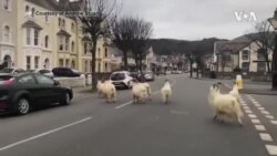 今年世界地球日环境改善出乎意料 今年世界地球日环境改善出乎意料