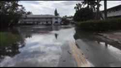 气候变化致海平面上升 迈阿密可能被淹 气候变化致海平面上升 迈阿密可能被淹