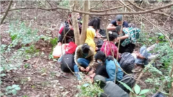 လူကုန်ကူးခံရသူ မြန်မာတွေ ထိုင်းနယ်ခြားစောင့် စစ်ဆေးတွေ့ရှိ လူကုန်ကူးခံရသူ မြန်မာတွေ ထိုင်းနယ်ခြားစောင့် စစ်ဆေးတွေ့ရှိ