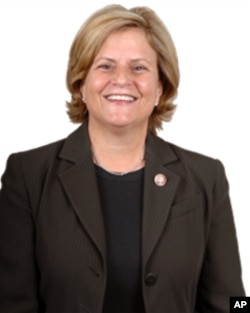 国会众议院外交委员会主席罗斯-雷提南