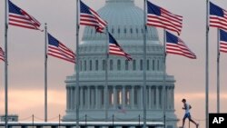 资料照:美国国会大厦和美国国旗