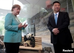 德国总理默克尔(Angela Merkel)和中国国家主席习近平于2017年7月5日在德国柏林动物园出席了中国熊猫"梦梦"和"娇庆"的欢迎仪式。
