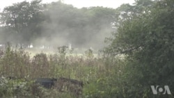 富士康对中期选举是资产还是负担? 富士康对中期选举是资产还是负担?