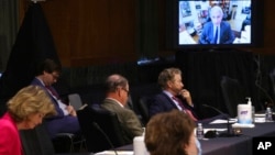 安东尼·弗契在参议院卫生、教育、劳工和退休金委员会远程作证。(2020年5月12日)