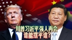 焦点对话:川普习近平强人再会,谁能摆平谁? 焦点对话:川普习近平强人再会,谁能摆平谁?