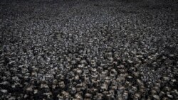 ဥတုရာသီ ပြောင်းလဲမှုဒဏ်ကြောင့် ဆုံးရှုံးမှု ပြန်ပေးဆပ်ရေး COP 27 မှာဆွေးနွေး ဥတုရာသီ ပြောင်းလဲမှုဒဏ်ကြောင့် ဆုံးရှုံးမှု ပြန်ပေးဆပ်ရေး COP 27 မှာဆွေးနွေး