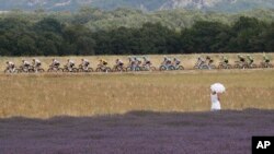 资料照:环法自行车赛的选手正在通过法国普罗旺斯的一片薰衣草花地。(2017年7月21日)