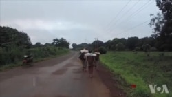 柬埔寨用地争端殃及当地少数民族村落 柬埔寨用地争端殃及当地少数民族村落