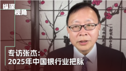 专访张杰:2025年中国金融业的内外挑战 专访张杰:2025年中国金融业的内外挑战