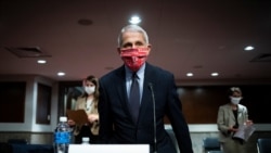 美国国立过敏与传染病研究院主任弗契(Anthony Fauci)2020年6月30日到国会作证(路透社)