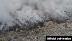 A young grey seal gestures as it lies on a beach on the North Sea island of Helgoland, Germany, Jan. 5, 2020.
