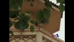 埃及无神论者渴望获得一席之地 埃及无神论者渴望获得一席之地