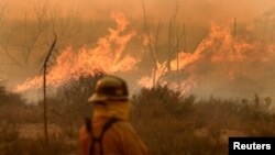 Khoảng 700 nhân viên cứu hỏa đã nỗ lực kiềm chế đám cháy nhưng công việc của họ gặp khó khăn do trời nóng, khô và nhiều gió