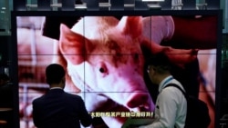 时事大家谈:端碗吃肉放筷骂娘,中国人往事不堪回首? 时事大家谈:端碗吃肉放筷骂娘,中国人往事不堪回首?