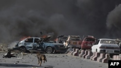 一条狗跑过汽车炸弹袭击的爆炸现场。(2017年5月31日)