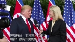 川金会后美国之音特约记者萨斯特伦专访川普总统 川金会后美国之音特约记者萨斯特伦专访川普总统